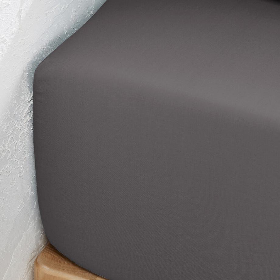 La Redoute Intérieurs Scenario Drap-housse uni en percale de coton bio  