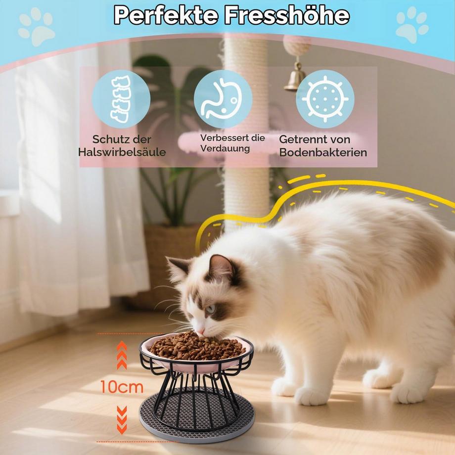 Alopini  Bol Pour Chat Surélevé 2 Pièces, bol de Nourriture pour Chat avec Support en Métal 