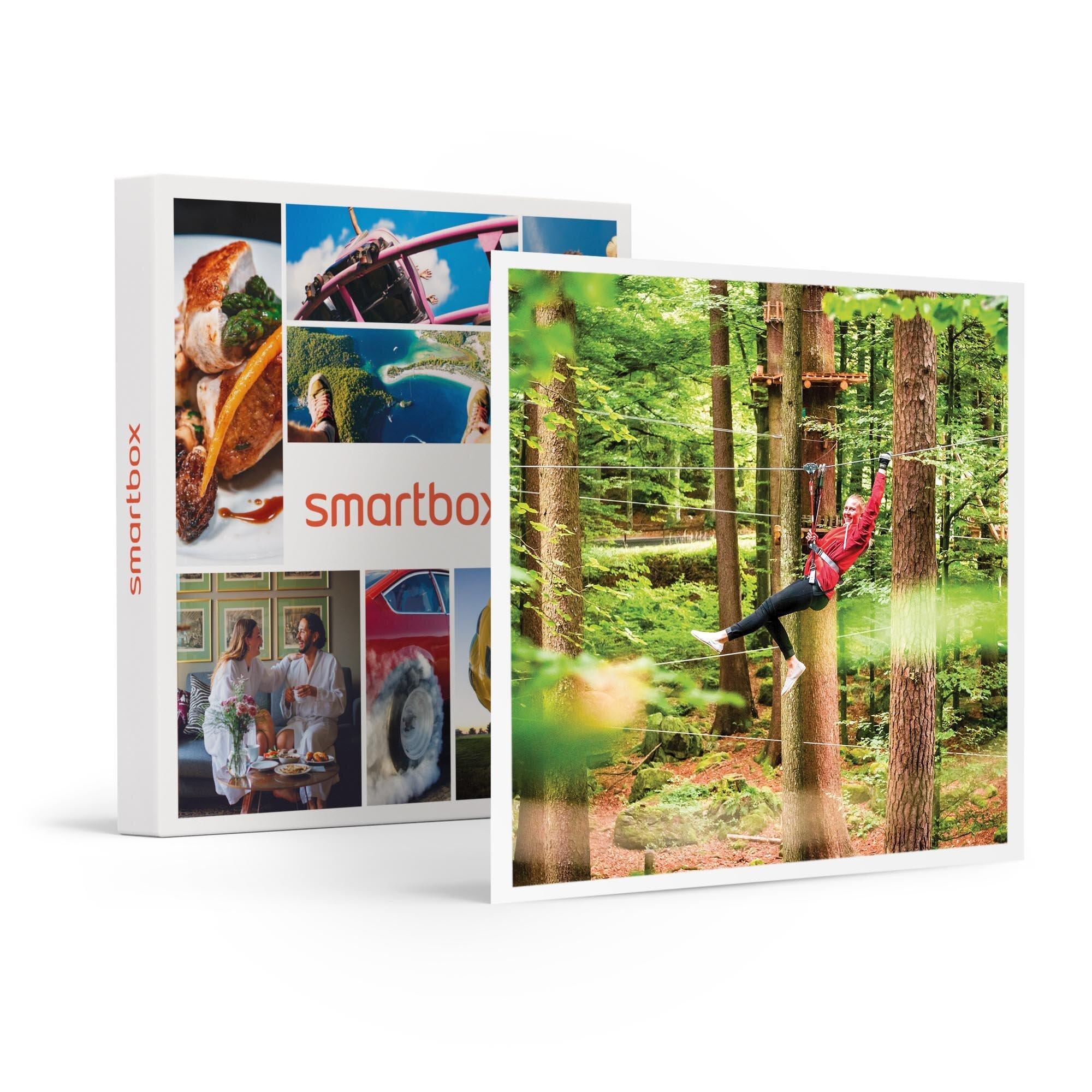 Image of Grüner Nervenkitzel In Interlaken: Zugang Zu 9 Erlebnispfaden Für 1 Erwachsenen Mit Einweisung - Geschenkbox Unisex