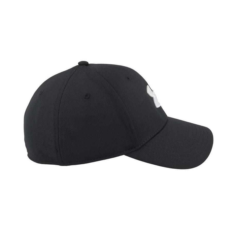 UNDER ARMOUR Casquette Blitzing  