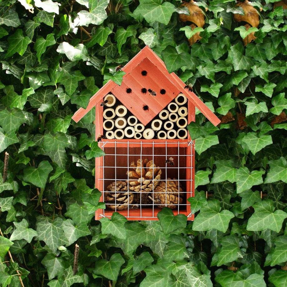 B2X Hotel per insetti utili  