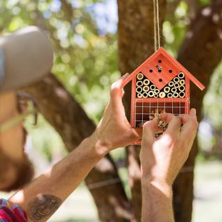 B2X Insektenhotel für Nützlinge  