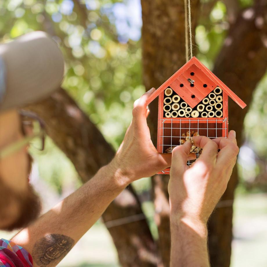 B2X Hotel per insetti utili  