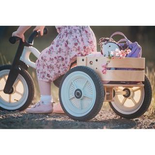 Wishbone  Wishbone Cargo Bin, WISHBONE 