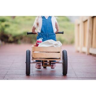 Wishbone  Wishbone Cargo Bin, WISHBONE 