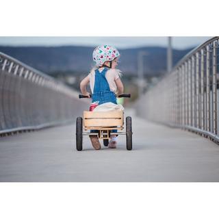 Wishbone  Wishbone Cargo Bin, WISHBONE 