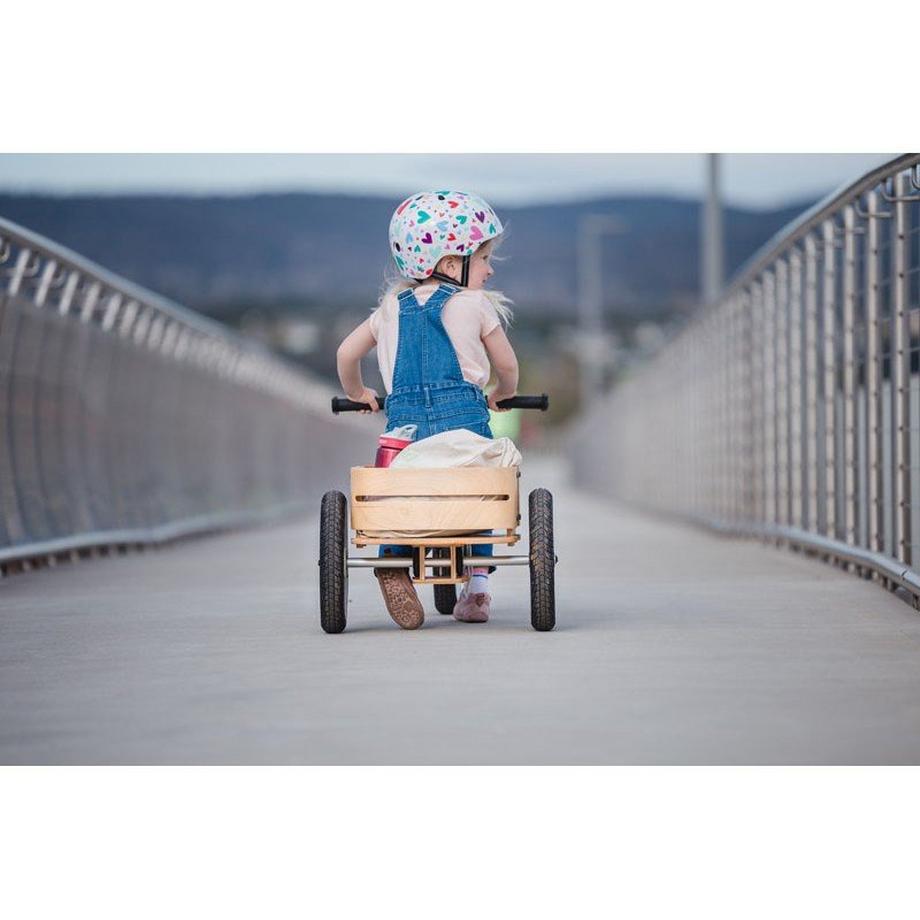 Wishbone  Wishbone Cargo bin 