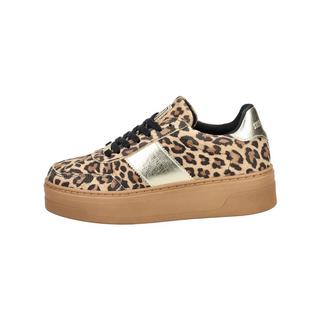 STEVE MADDEN  Sneaker SM11003414x 