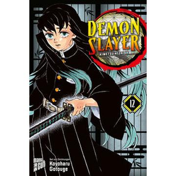 Demon Slayer 12