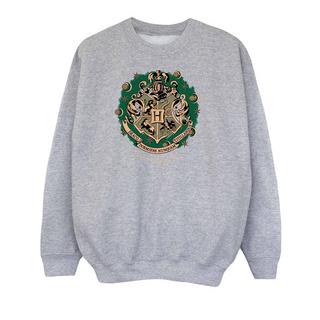 Harry Potter  Sweat 