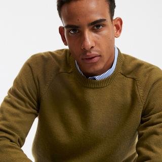 La Redoute Collections Pull col rond en lambswool  