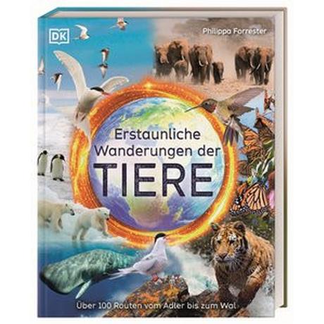 Erstaunliche Wanderungen der Tiere Forrester, Philippa; DK Verlag - Kids (Hrsg.); Smart, Tim (Illustrationen); Sixt, Eva (Übersetzung) Gebundene Ausgabe 