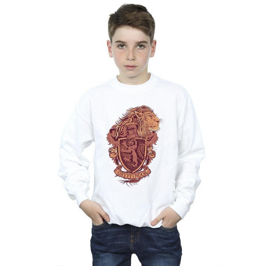 HARRY-POTTER  Gryffindor Sweatshirt 