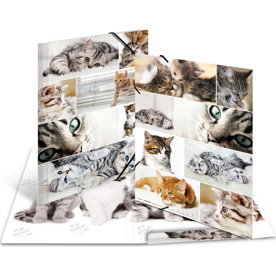 HERMA Gummibandmappe Katzen, Karton, mit Innendruck  