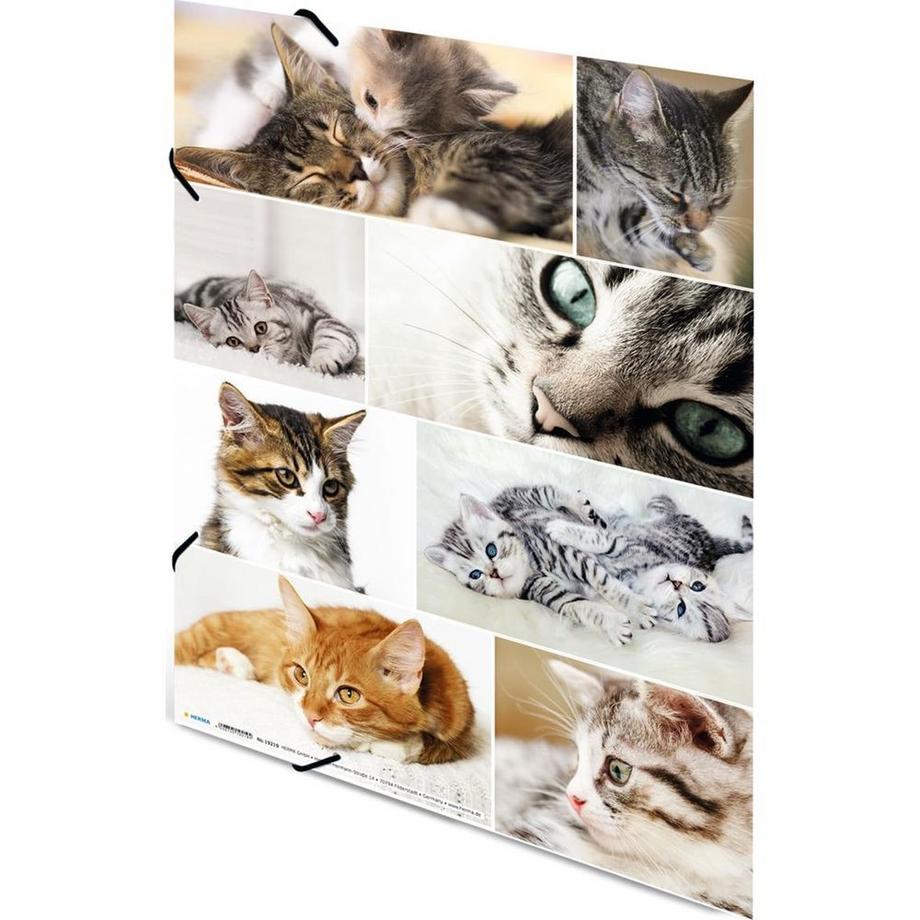 HERMA Gummibandmappe Katzen, Karton, mit Innendruck  