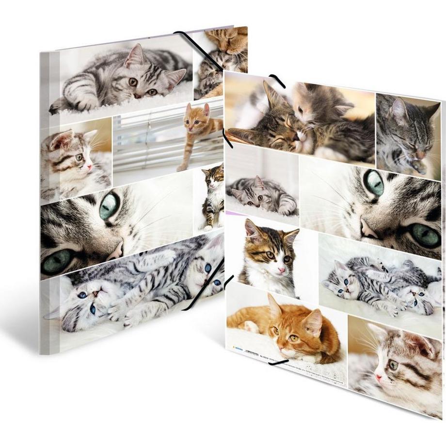HERMA Gummibandmappe Katzen, Karton, mit Innendruck  