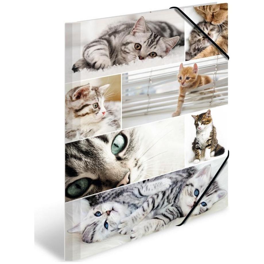 Housse en caoutchouc  pour chats, en carton, avec impression intérieure