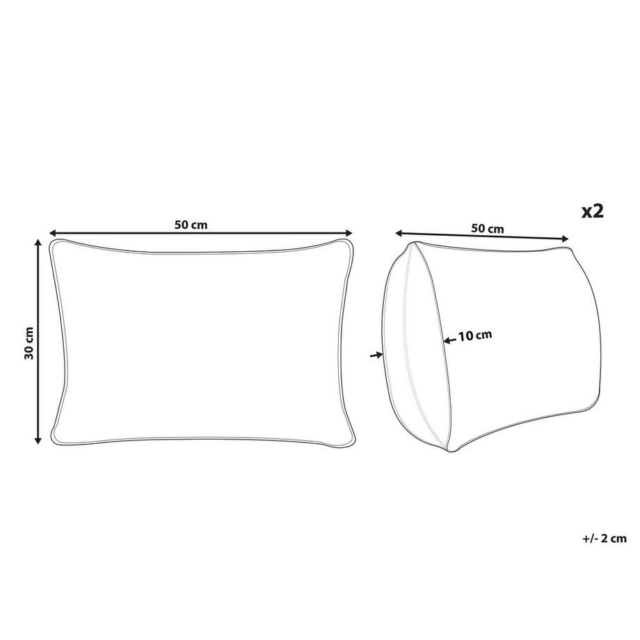 Beliani Lot de 2 coussins décoratifs en Coton Moderne ASARUM  
