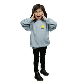 LOONEY TUNES  Tweety Pie Head Sweatshirt 