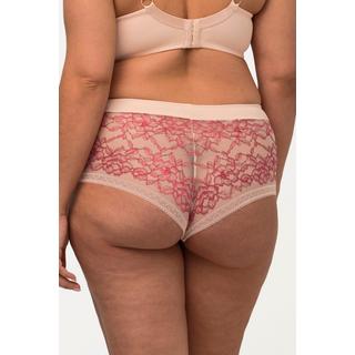 Ulla Popken  Hipster in microfibra con pizzo bicolore 