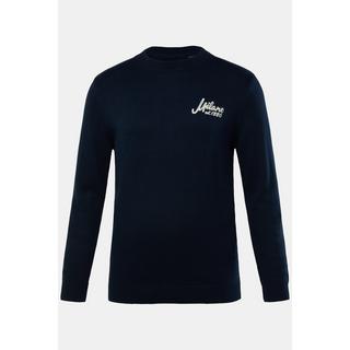 JP1880 Pull en pur coton motif brodé  