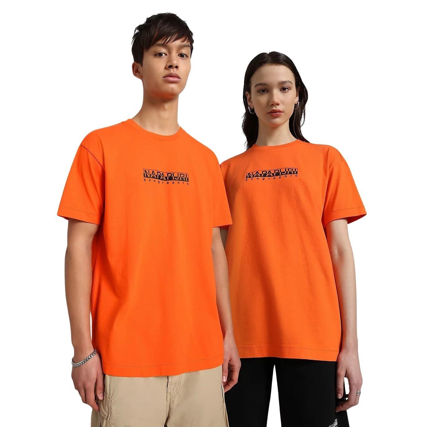 NAPAPIJRI Geographic T-Shirt Manches Courtes  