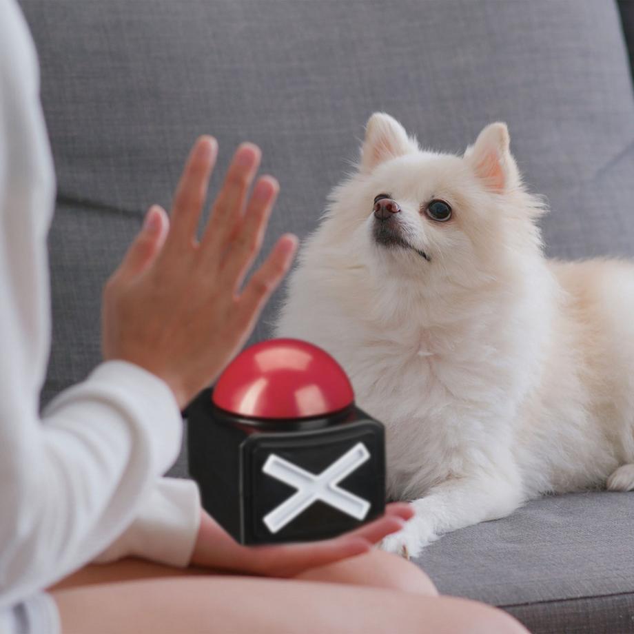 B2X Sonnensegel rechteckig  