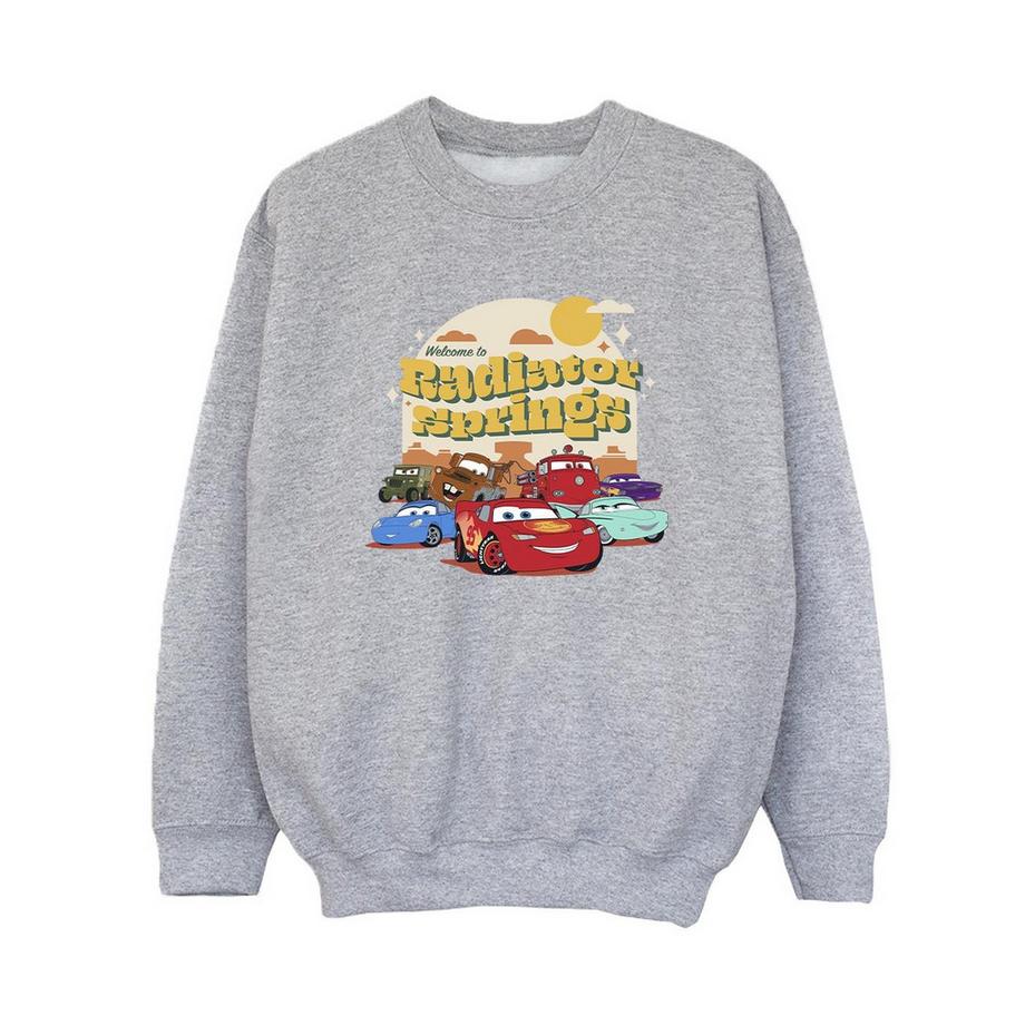 Disney  Cars Radiator Springs Sweatshirt 