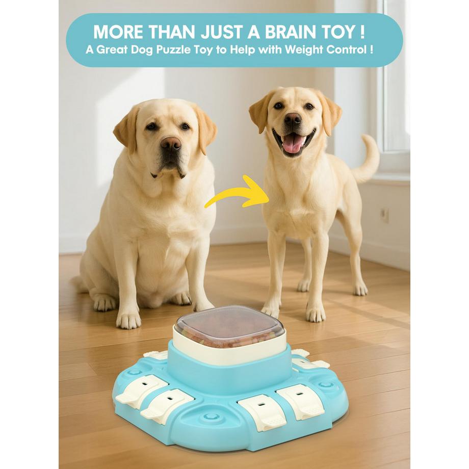 Activity-board  Intelligence de jouet pour Chien 