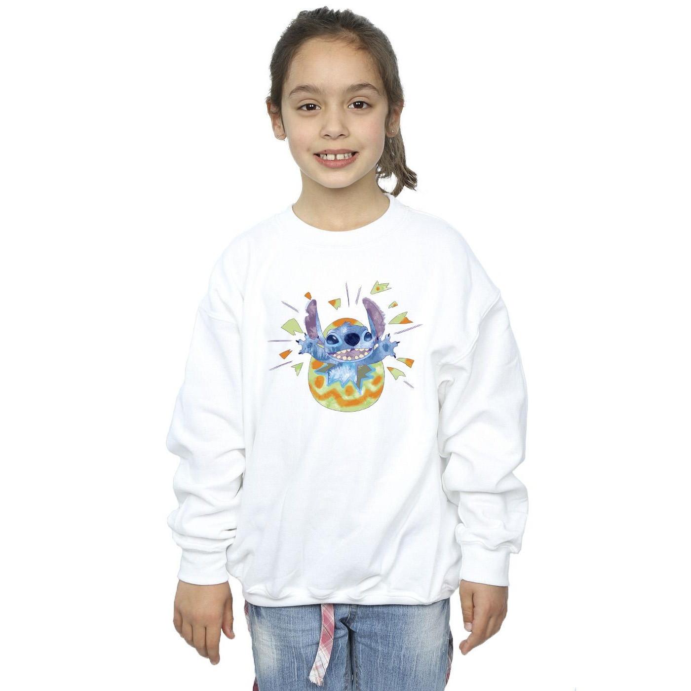 Disney  Sweatshirt 