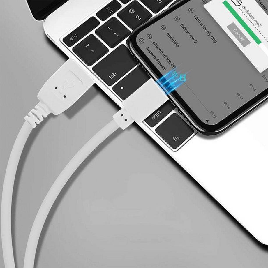Avizar  Câble USB Lightning, Quick Charge 1,2 m 