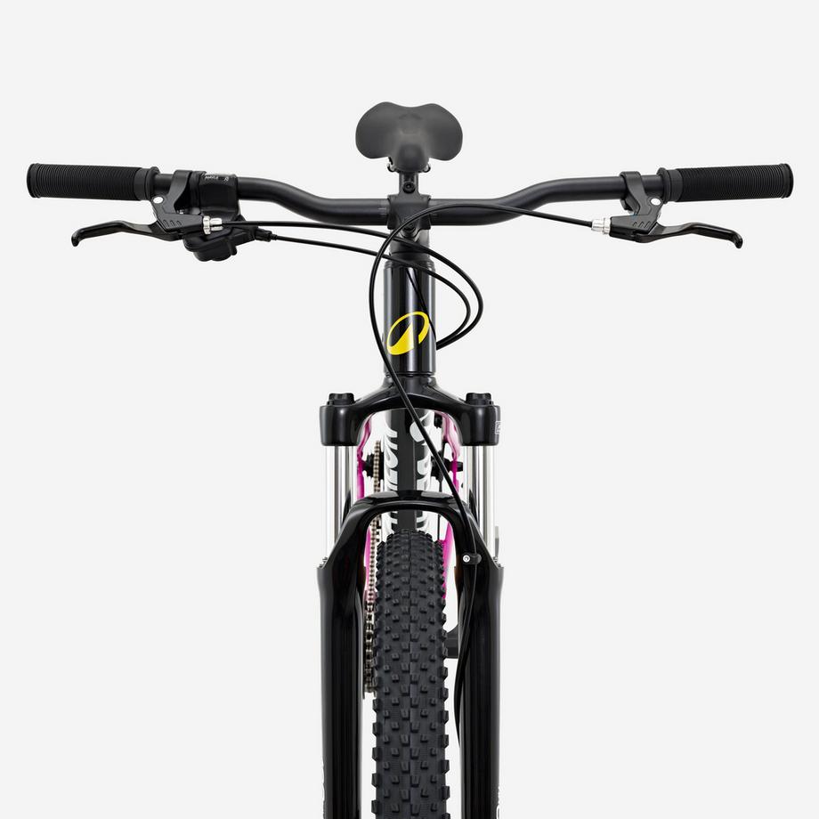 ROCKRIDER  MTB-Tourenvelo 29", EXPL 100 50th Anniversary 