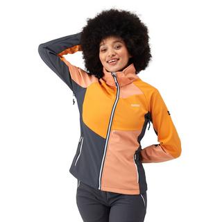 Regatta  Desoto IX Softshelljacke 