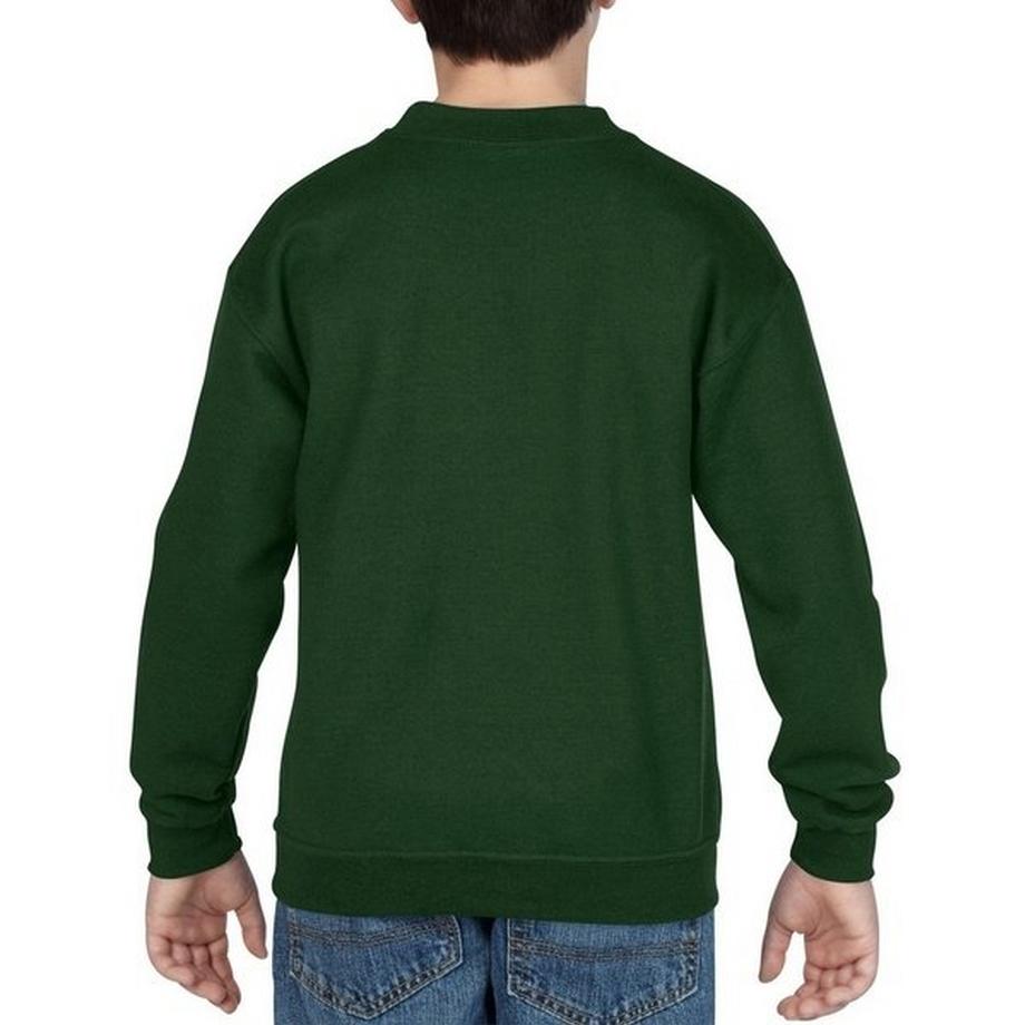 Gildan  Heavy Blend Pullover 