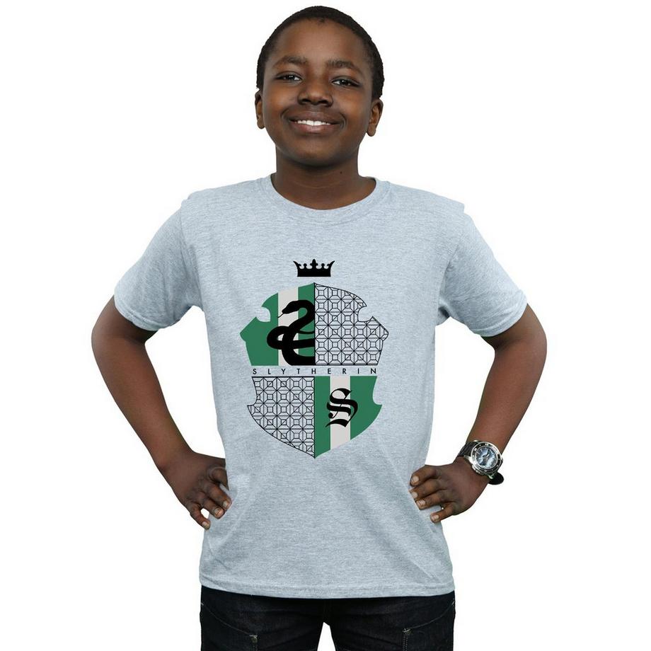Harry Potter  Slytherin TShirt 