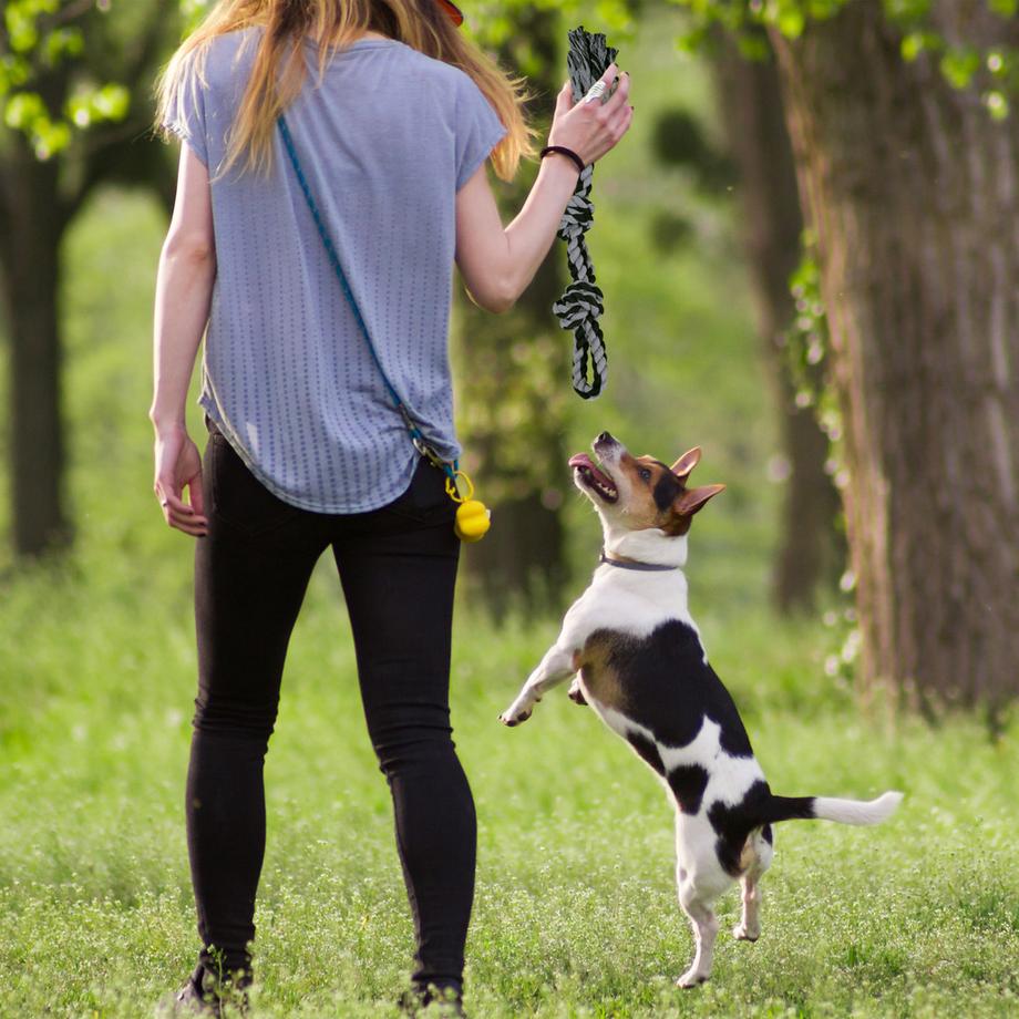 B2X  Corda per giocattoli per cani - 2 pezzi 