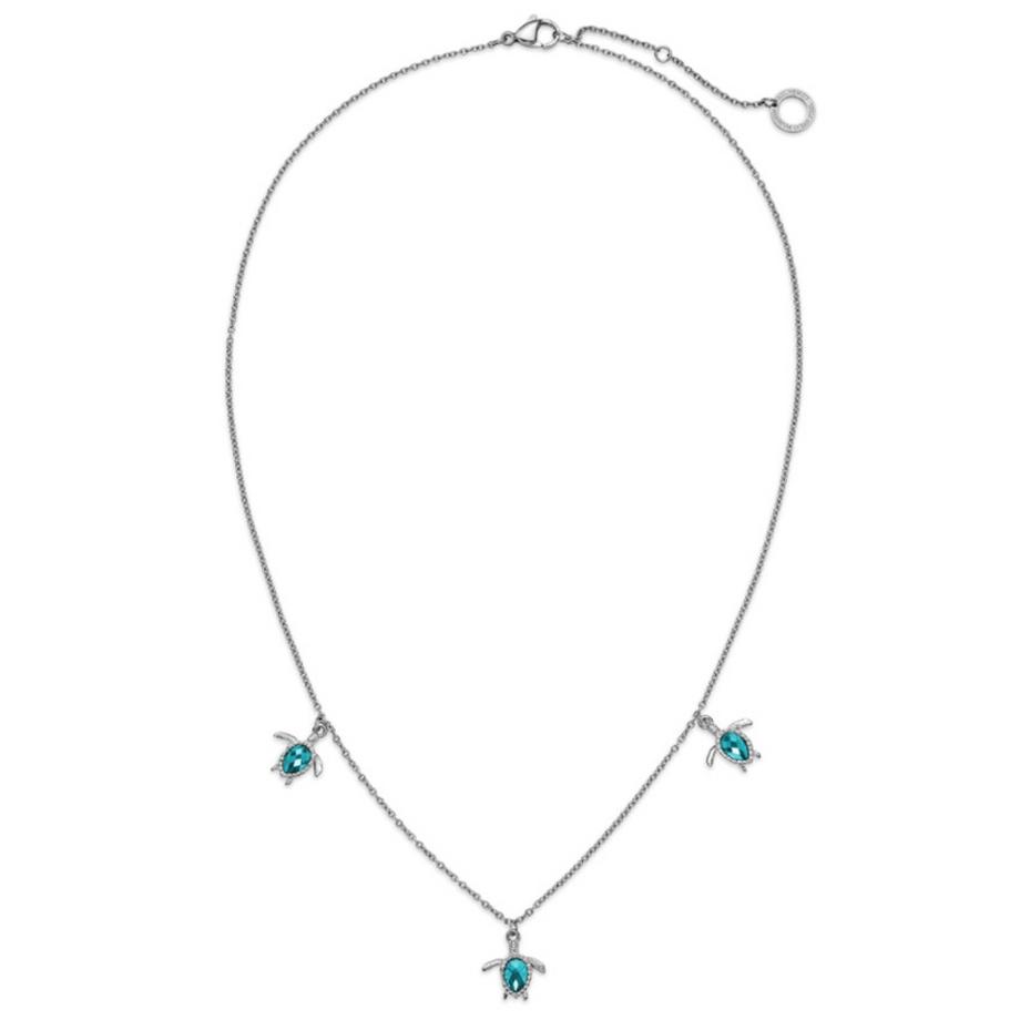 Paul Hewitt  PH-JE-1582 Turtle 