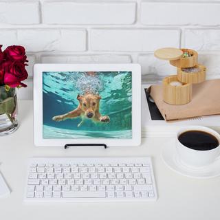 B2X Contenitore del sale girevole con 3 scomparti  