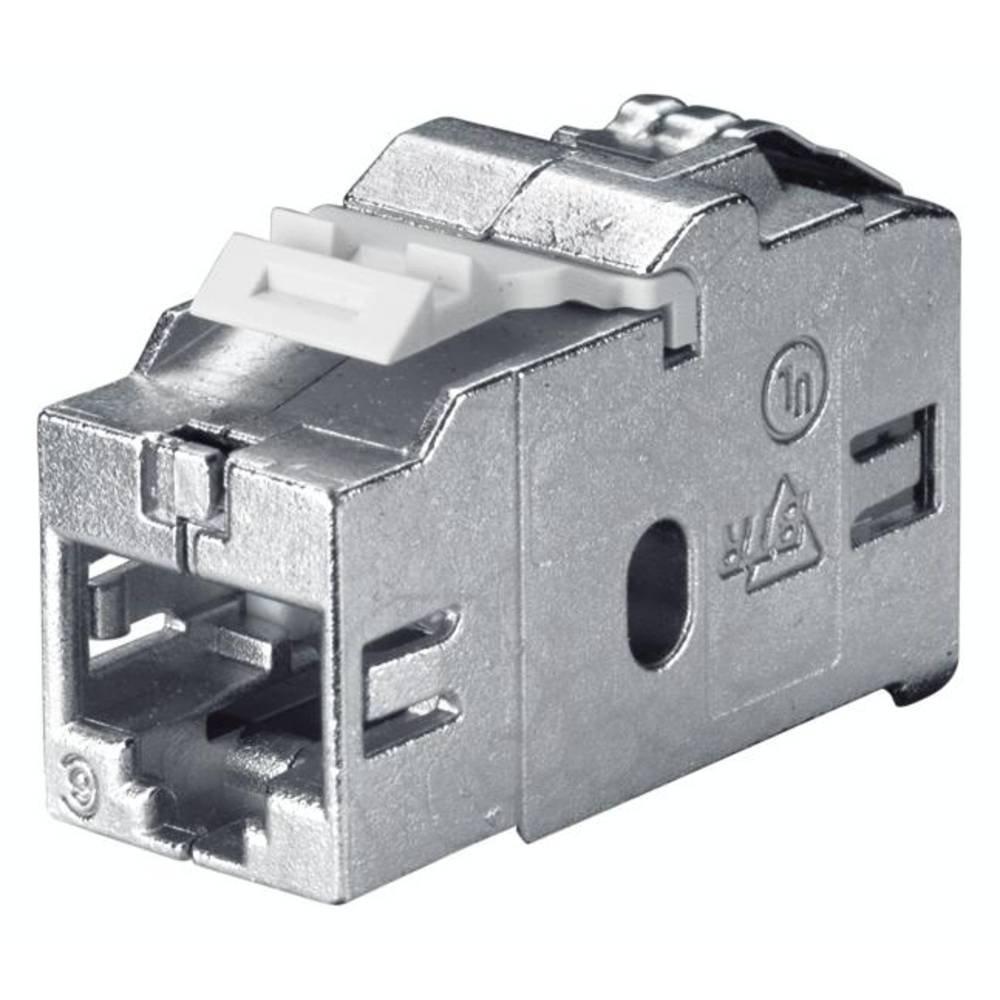 Bachmann  CAT6 RJ45 accessoires réseau 