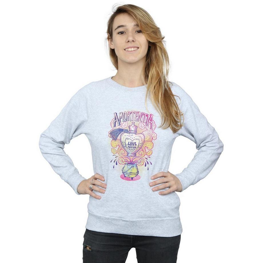 Harry Potter Amortentia Potion d'Amour Sweatshirt  
