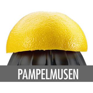 Gastroback GASTROBACK HOME CULTURE SPREMIAGRUMI ELETTRICO 100 W NERO, ACCIAIO INOX  