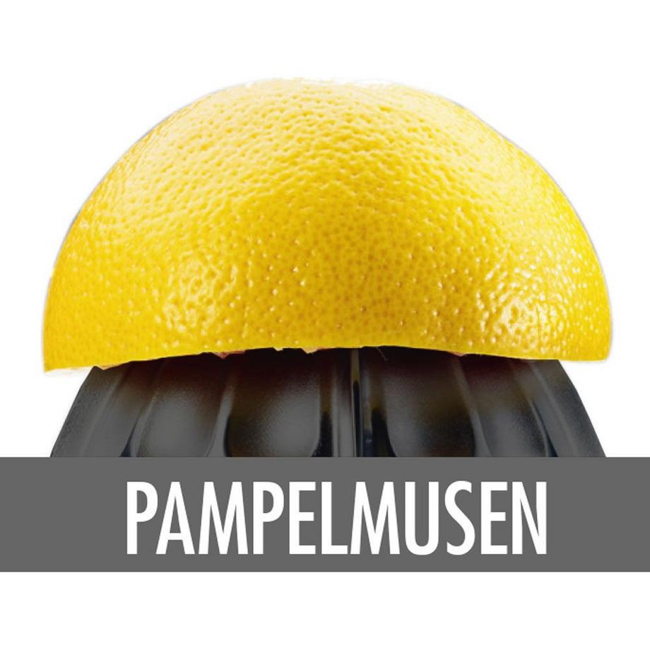 Gastroback SAFTPRESSE HOME CULTURE SILBER SCHWARZ  