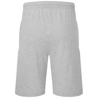 Fruit of the Loom  Iconic JerseyShorts 