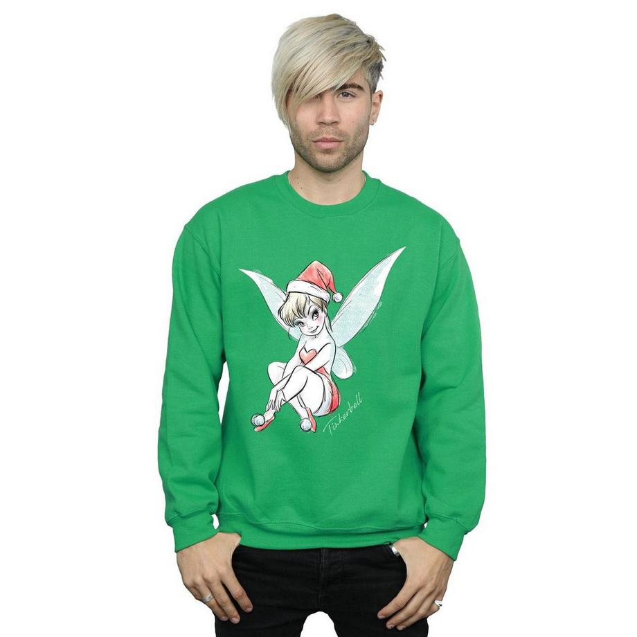 Disney Fairy Sweatshirt  