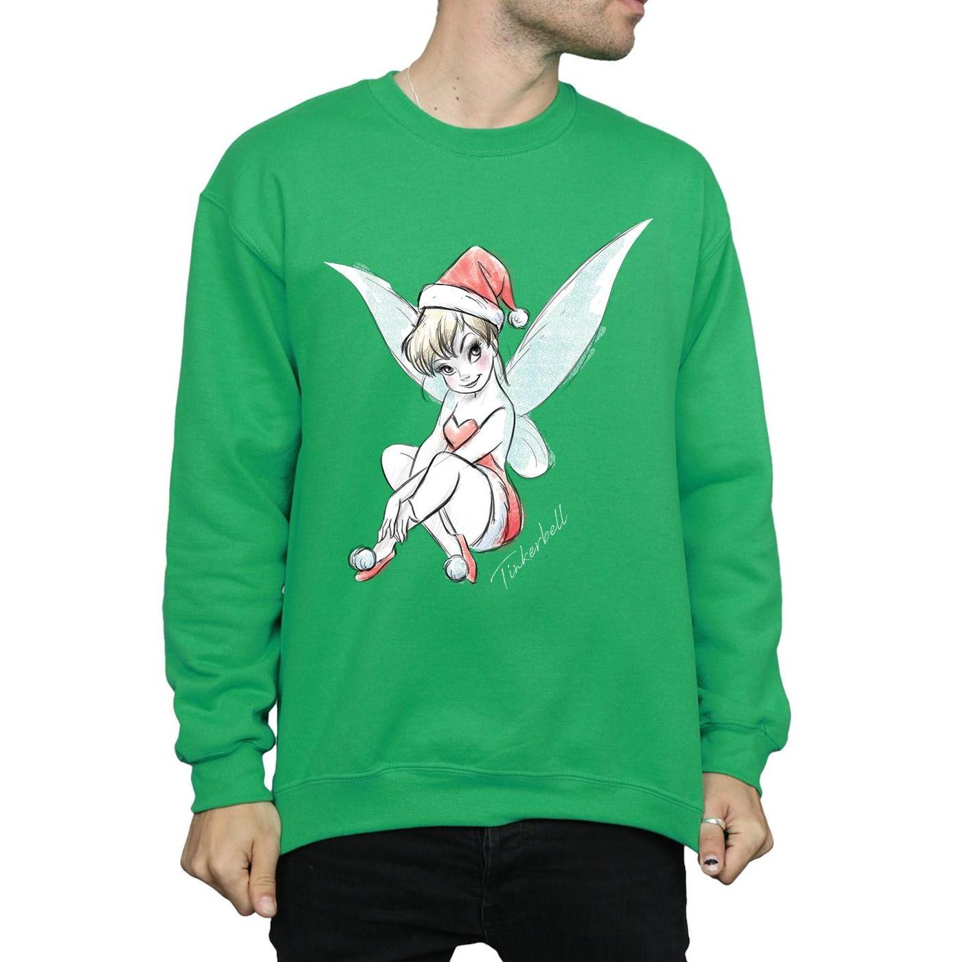 Disney  Fairy Sweatshirt 