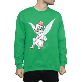 Disney  Fairy Sweatshirt 