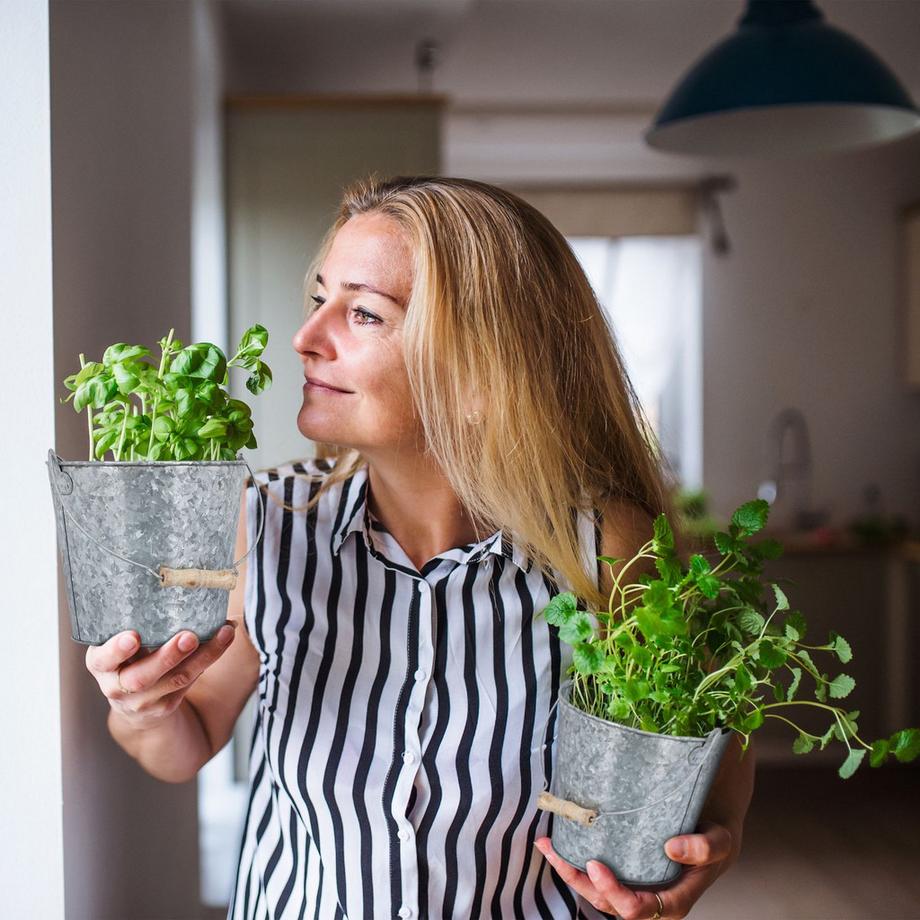 Northio  Zinktopf 5er Set 