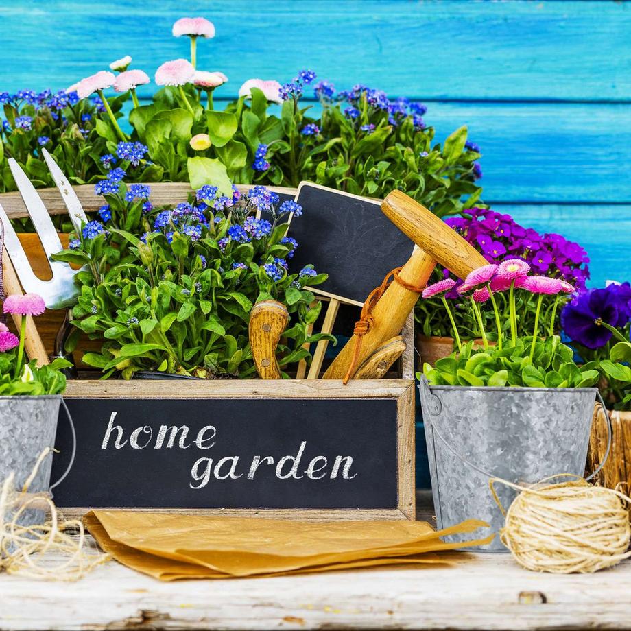 Northio  Zinktopf 5er Set 