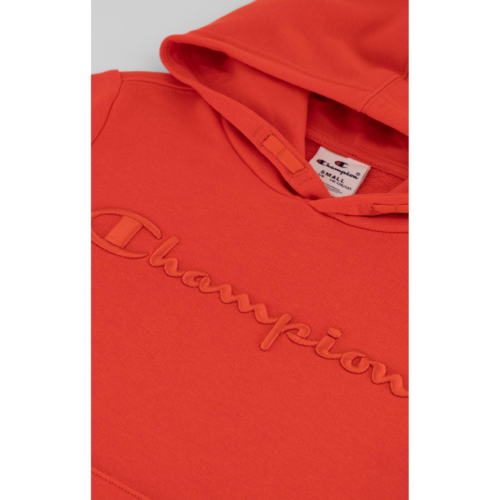 Champion  sweat à capuche chapion cl logo 