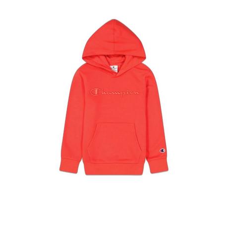 Champion  hoodie chapion cl logo 